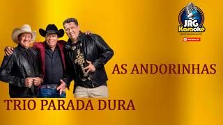 TRIO PARADA DURA   AS ANDORINHAS VERSAO VANEIRA  KARAOKE #4