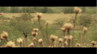 Texas Agriculture Land Trust 15 Second PSA