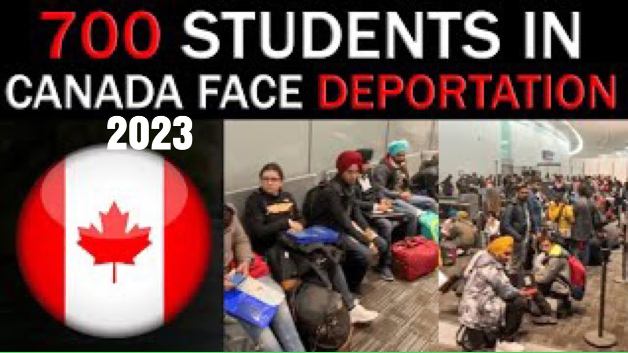 700 Indian Students sent back from canada ||