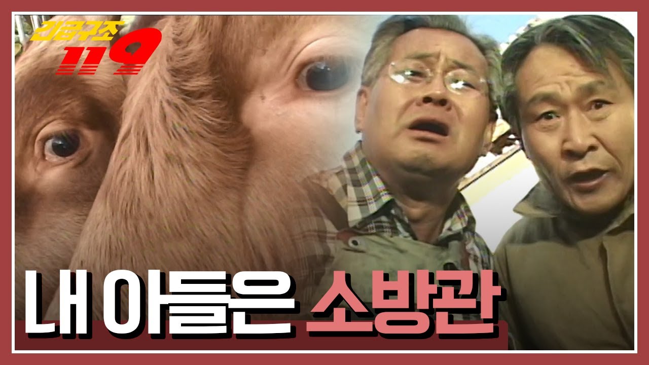 [긴급구조 119] 축사 울타리에 머리가 낀 소 두 마리 '내 아들은 소방관' KBS 031028 방송