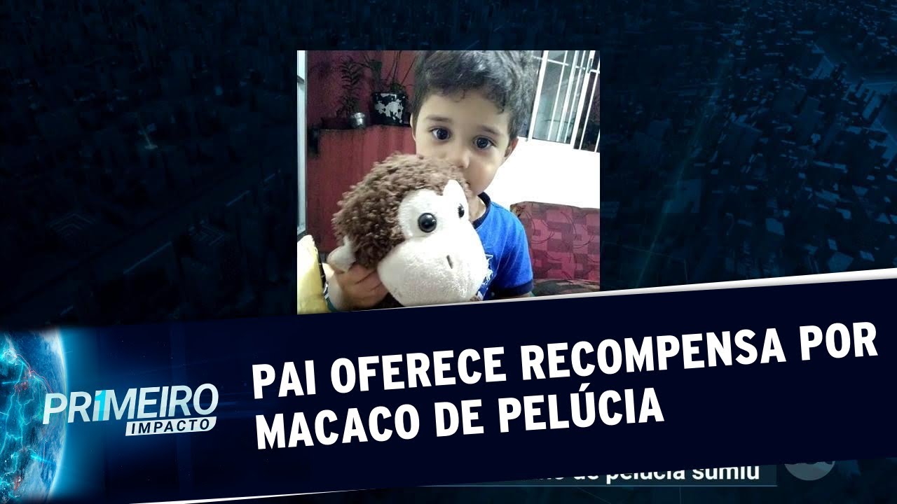 Pai oferece recompensa para quem achar macaco de pelúcia do filho | Primeiro Impacto (25/07/19)