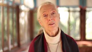 FAQs with Jane:  Are you a vegetarian?