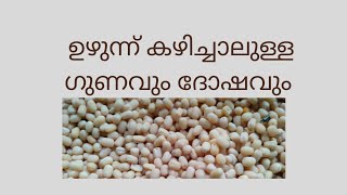 ഉഴനനനറ ഗണങങൾ അറയ. Benefits Of Uzhunnu.
