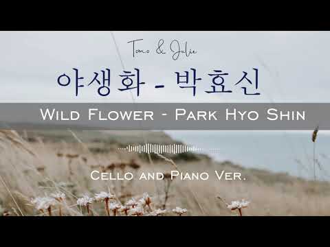 Wild Flower (Cello Part) - Park Hyo Shin