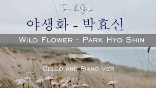 Wild Flower (Cello Part) - Park Hyo Shin