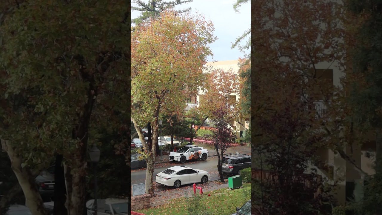 Weather in Silicon Valley lately 