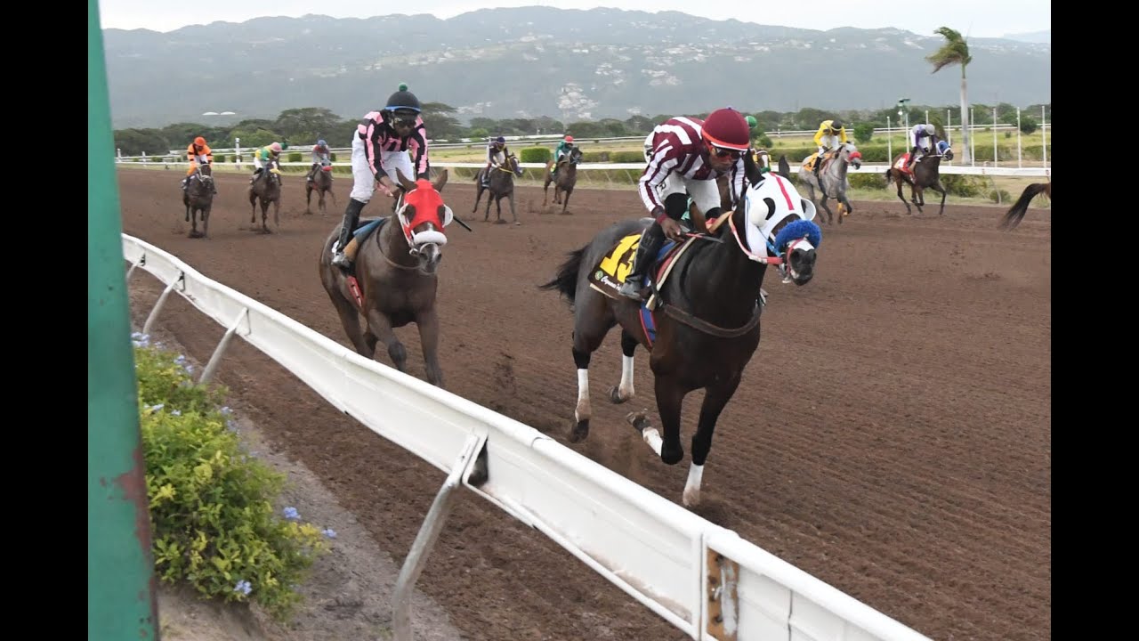 JAMAICA RACING: Posing Already Again Down The Straight – Sat, July 29, 2023, 10th