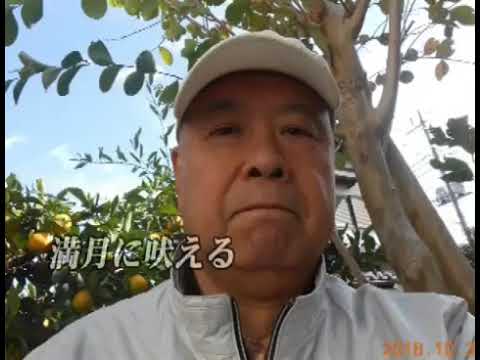 男と女の破片　　（ｊ前川清）カバー
