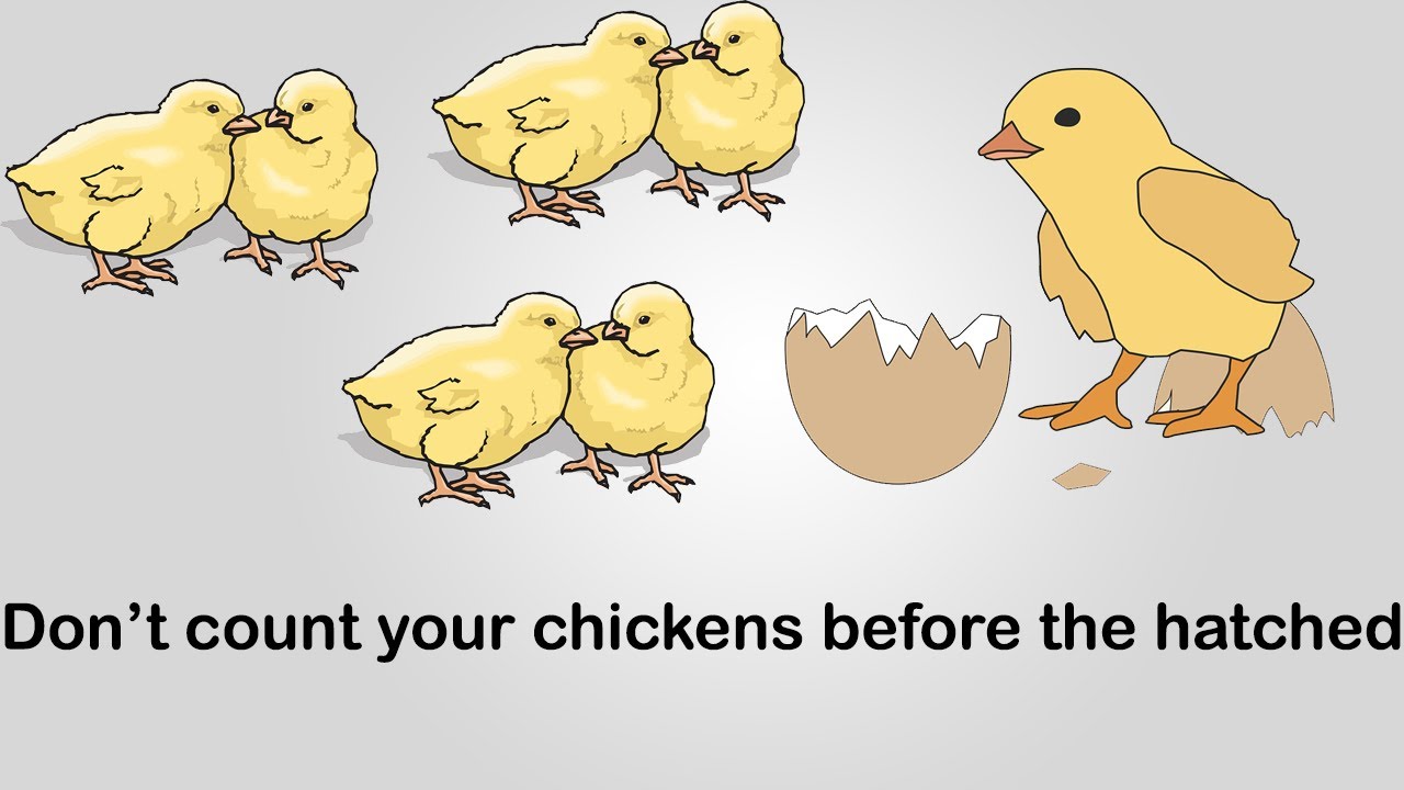 Don't count your Chickens before they Hatch. C) don't count your Chickens before they Hatch.