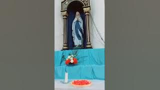 Musika Soibada, Aitara