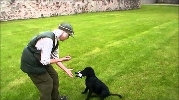 Delivery to hand with clicker training