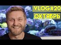 vlog #20 | морской аквариум | рыбки в морском аквариуме