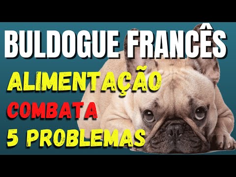 Alimentação Natural para Buldogue Francês: Combata 5 Problemas