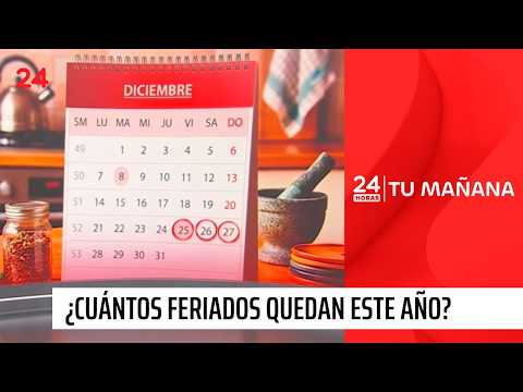 Are the breaks over? These are the remaining holidays until the end of the year | 24 Horas TVN Chile