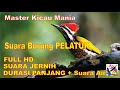 Masteran Murai, Suara Burung PELATUK Durasi Panjang + Terapi Suara Air Mengalir...FULL HD...!!!