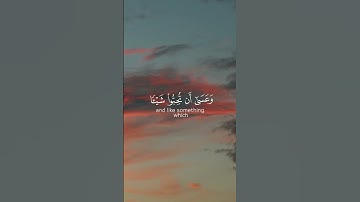استغفر الله العظيم واتوب اليه. القارئ #مشاري_العفاسي ،سورة البقرة. #القرآن_الكريم #القرآن #quran