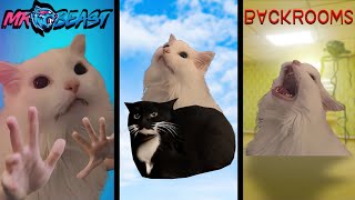 Cat MEOW but Meme Music (2)