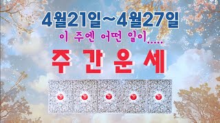 타로🔮4월21일~4월27일 🍀주간운세