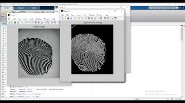 Fake Biometric Detection using Finger Print using Matlab