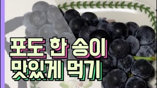 포도 먹방