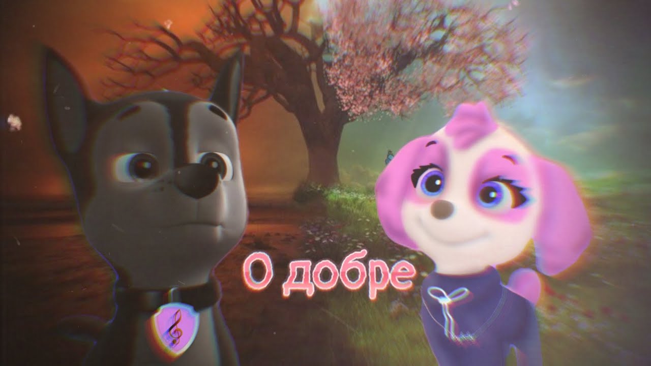 ➣Ⲥⲟⲃⲙⲉⲥⲧⲏⲟ ⲥ 𝐏𝐀𝐖𝐒💕( @PAWS193 ) 