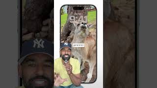 Apple Needs to Kill The App Store #business #ai