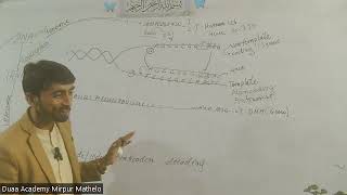 Biomolecules revision class Nucleic acid,DNA,RNA,Code, codon and anticodon, decoding xi biology