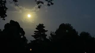 IMG 4669