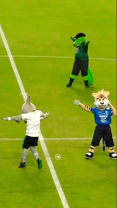 Story Whatsapp icon persebaya dan persib