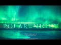 INTO THE POLAR NIGHT - 4K