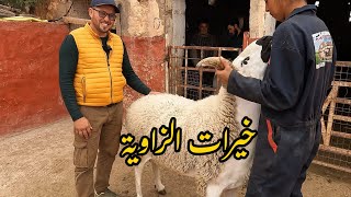 من قلب ضيعة عبد الحق ابن رضى (الجزء الأول)