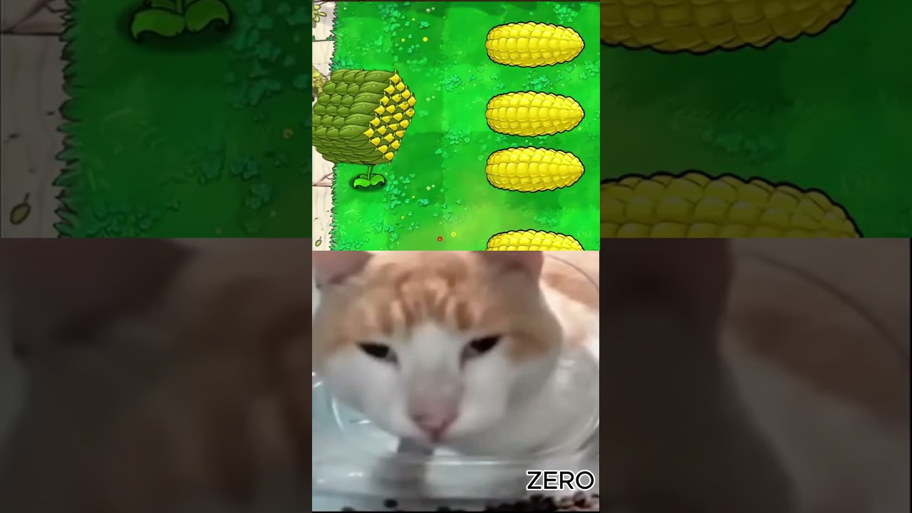 What the hell 61 #pvz #pvz fusion #pvz hydrid #game #pvzfusion #pvzmod #plantsvszombies