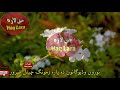Khaze sara shah khawa badfeli kawal Pashto bayan by shaikh Mp3 Song