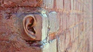 Portrait Video Nanny Canon Eosr5 Rf85 F1.2L Ds...