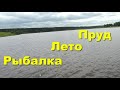 Рыбалка. Лето. Пруд