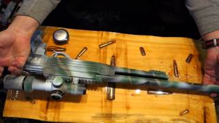 10/22 bolt action suppressed with Gemtech Mist