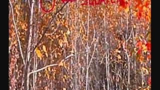 Sasquatch knocks in response to my whoooo May 1 2012 1030pm.wmv