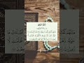 مثلهم كمثل الذي استوقد نارا بصوت خاشع القرآن الكريم راحة نفسية  آيات تجويد ماهر المعيقلي