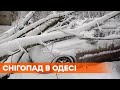 Деревья падали на машины | Снегопад в Одессе | Непогода в Украине