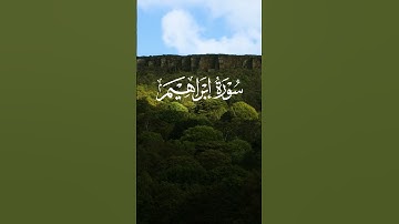 كلمة طيبة #القرآن_الكريم #القرآن #سورة إبراهيم #quran#coran