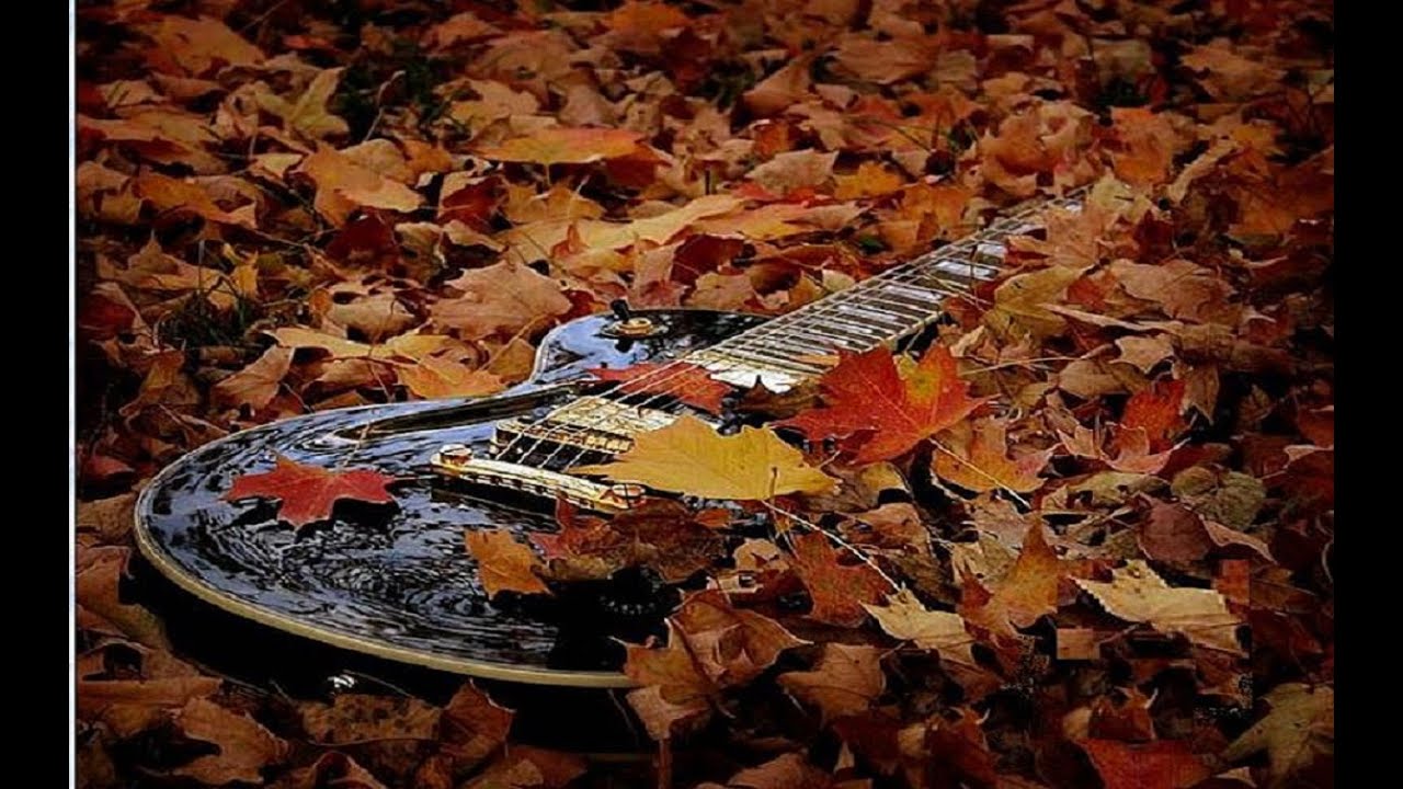 Гитара в листьях