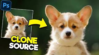 PHOTOSHOP | Clone Stamp Tool - Adobe Photoshop Tutorial for Beginners