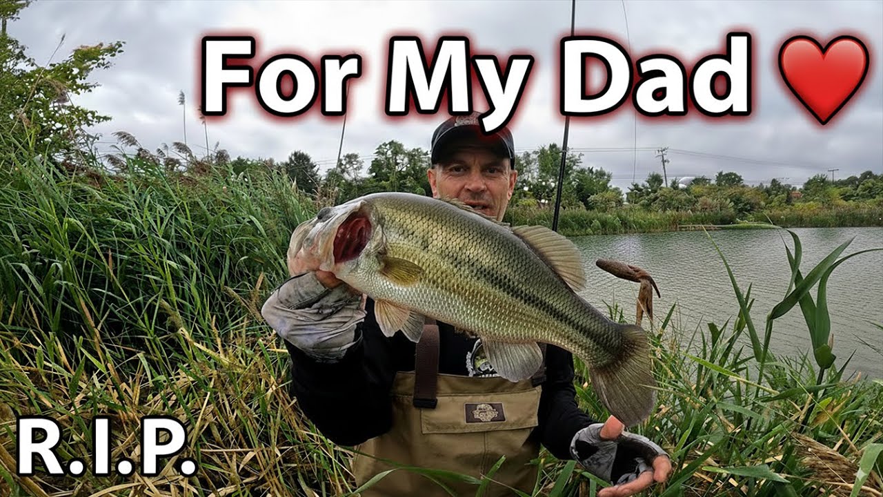 Bass Fishing for My Dad 🎣 | Emotional Tribute Trip Catching Big Bass Weightless Finesse