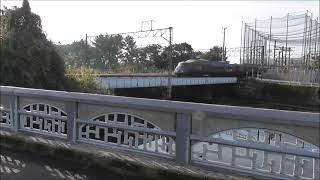 JR九州　787系　 特急きりしま6号 鹿児島中央駅～宮崎駅6006M  祇園之洲踏切　撮影日2024 4 7