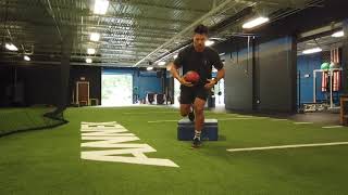 Annex Sports Performance - Single Leg Depth Drop Fake Slam