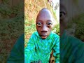 Nene Nene Nene 