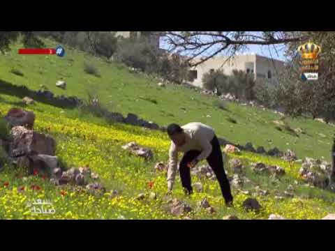 بلال العجارمة من ام البساتين