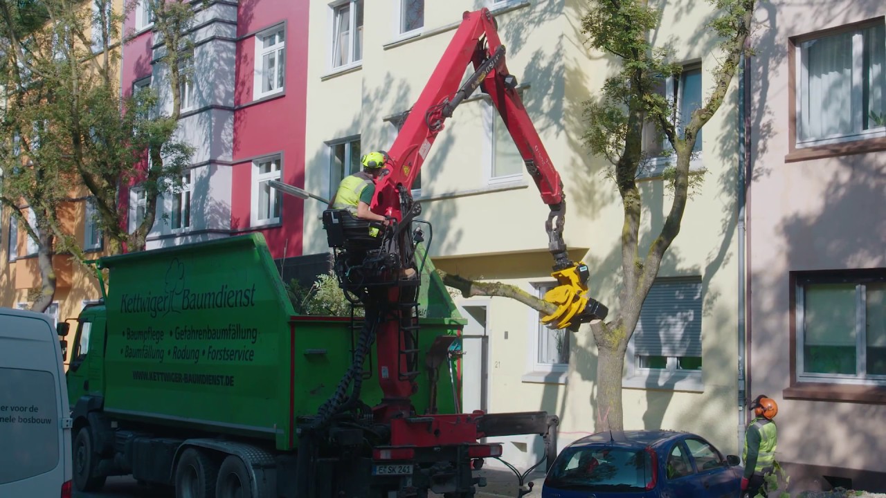 Tree removal with GMT050 grapple saw and container truck - YouTube