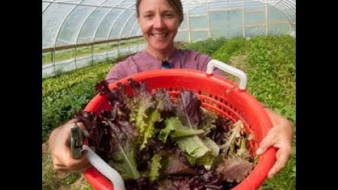 Produce Traceability App Tutorial