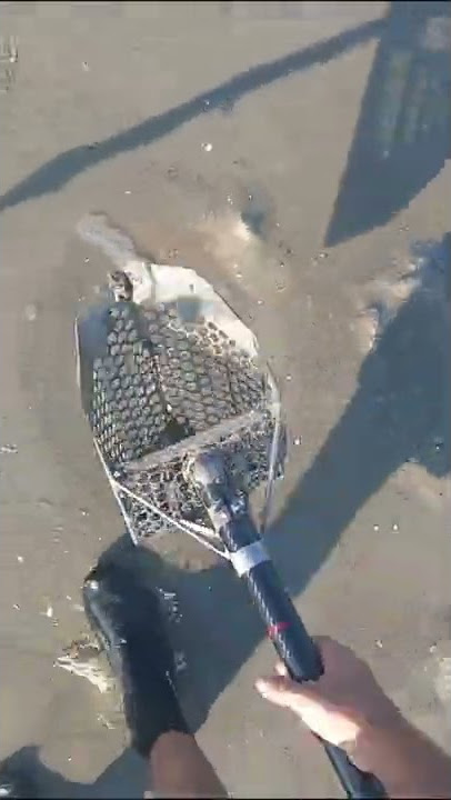 Unbelievable thing find on beach 🤯🤯 Watch till the end!! #shorts #diamond